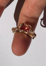 Load image into Gallery viewer, Body &amp; The Blood
